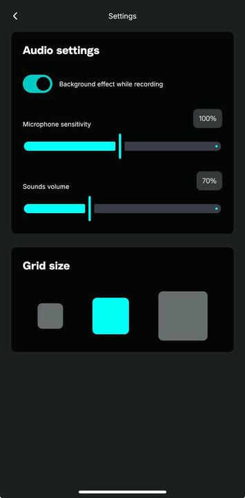 Phone - Audio Settings.png